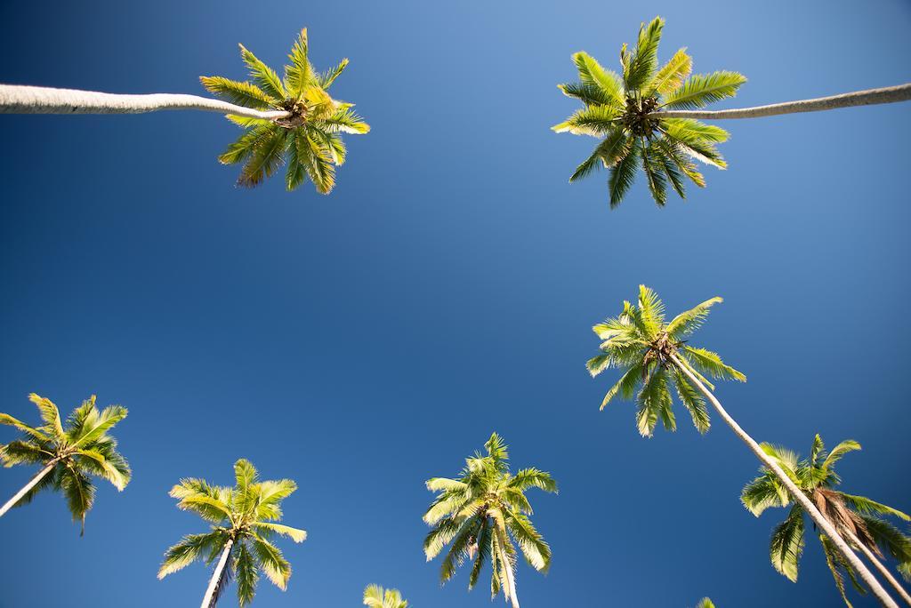 Emaho Sekawa Resort Savusavu Buitenkant foto